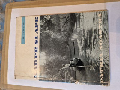 Harpe și ape vintage foto