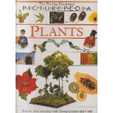 Plants - Picturepedia