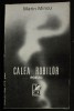 Marin Mincu - Calea robilor (poeme)