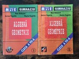 Algebra, Geometrie, clasa a VII-a - Dan Branzei, 2 vol. / R5P1F