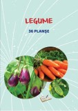 Cumpara ieftin Mapă - Legume - Hardcover - Ars Libri
