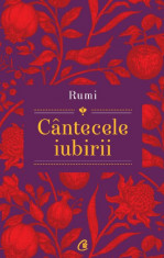 Cantecele iubirii &amp;ndash; Rumi foto