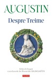 Cumpara ieftin Despre Treime, Augustin - Editura Polirom