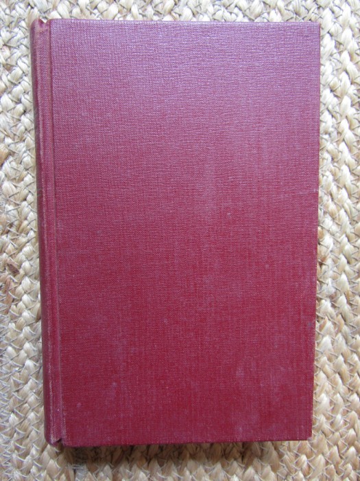 L&#039;enfant de volupte Gabriele D&#039;Annunzio 1895
