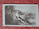 Carte postala, Popas/Grigorescu