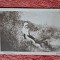 Carte postala, Popas/Grigorescu
