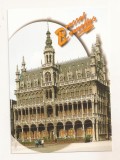 FA161 - Carte Postala - BELGIA - Bruxelles, Grand Place. Maison du Roi, necirculata