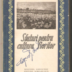 Sfaturi pentru cultura florilor