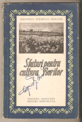 Sfaturi pentru cultura florilor foto
