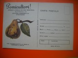 HOPCT 448 U POMICULTORI-RAPANUL LIVEZILOR - CARTE POSTALA -BULETIN AVERTIZARE -MINISTERUL AGRICULTURII-NECIRCULATA