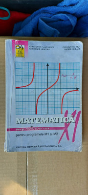 MATEMATICA CLASA A XI A - M1 SI M2 NASTASESCU , BULACU , NITA ,GRIGORE foto