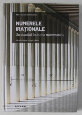 NUMERELE IRATIONALE , UN SCANDAL IN INIMA MATEMATICII de BARTOLO LUQUE si JORGE CALERO , 2021 foto