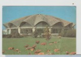 bnk cp Bucuresti - Circul de Stat - circulata - marca fixa - cod 199/68