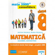 Anton Negrila, Maria Negrila - Matematica. Algebra si geometrie. Clasa a VIII-a. Partea I - 135434