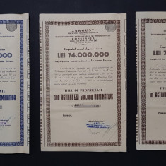 Lot 3 actiuni diferite 1943 ARGUS Constanta , actiune , titlu