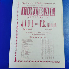 program Jiul - FC Bihor