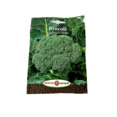 Seminte brocoli Ramoso Calabrese 1 gr, Prima Sementi