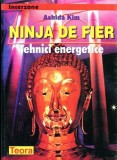 Ashida Kim - Ninja de fier. Tehnici energetice