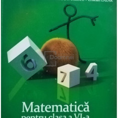 Stefan Smarandoiu - Matematica pentru clasa a VI-a (editia 2013)