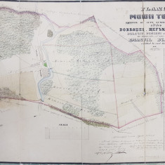 PLANUL MOSIEI TUNARI , JUDETUL ILFOV , 1850