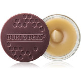 Burt&rsquo;s Bees Lip Scrub Exfoliant pentru buze cu efect de nutritiv 7.08 g