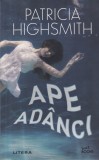 Patricia Highsmith - Ape adanci