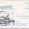 bnk ip Alba Iulia - Bienala filetelie polara - Orca - necirculata - 065/1996