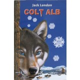 COLT ALB-JACK LONDON-251021