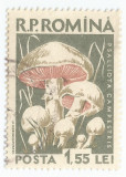 **Romania, LP 457/1958, Ciuperci comestibile, eroare 1, oblit.