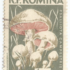 **Romania, LP 457/1958, Ciuperci comestibile, eroare 1, oblit.