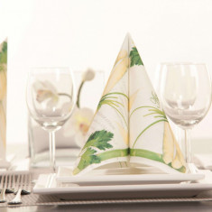 Servetele de masa festive Linclass - Asparagus (sparanghel) / 40 x 40 cm / 50 buc