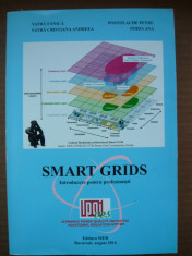 SMART GRIDS - introducere pentru profesionisti foto