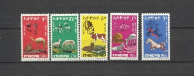 ETHIOPIA 1978 FAUNA ANIMALE DOMESTICE foto