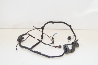 Cablaj ușă st&amp;acirc;nga spate TESLA MODEL 3 2018 OEM: 2067965-00-A 10885566 foto