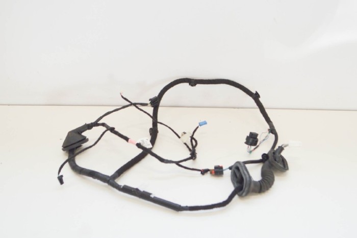 Cablaj ușă st&acirc;nga spate TESLA MODEL 3 2018 OEM: 2067965-00-A 10885566