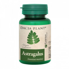 ASTRAGALUS 60cpr DACIA PLANT