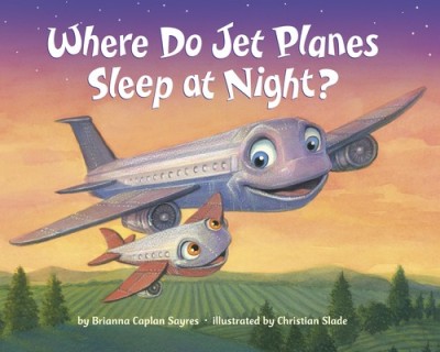 Where Do Jet Planes Sleep at Night? foto