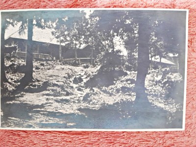 Carte postala, Cabana Sasilor muntele Postavarul, perioada interbelica foto