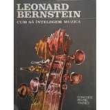 Leonard Bernstein - Cum sa intelegem muzica (1991)