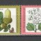 Germania.1979 Bunastare-Frunze,flori si fructe de padure DF.311
