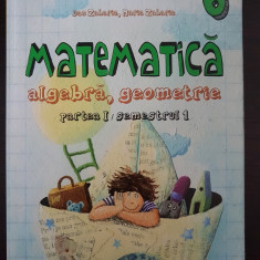 MATE 2000 MATEMATICA ALGEBRA GEOMETRIE CLASA A VI-A PARTEA I - Gologan, Zaharia