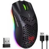 Mouse gaming wireless Dunmoon 19495 cu RGB, 6 butoane si 2400 DPI