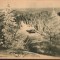 CPIB 15539 CARTE POSTALA - MUNTII BUCEGI, CABANA DIHAM, RPR, 1954