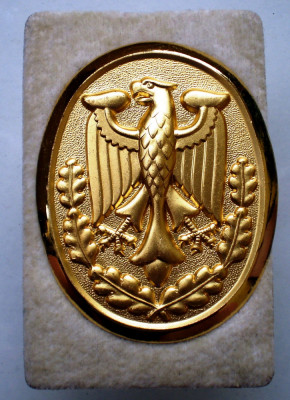 M.110 GERMANIA BUNDESWEHR INSIGNA MILITARA PT. EGHILET ADLER IN GOLD foto