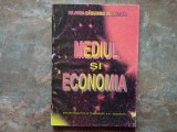 Mediul și Economia - Iolanda Dăduianu Vasilescu, 1997