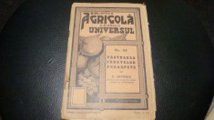 C. Savescu - Pastrarea fructelor proaspete - 1940 - biblioteca agricola foto