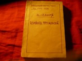 Al. Vlahuta - Romania Pitoreasca - BPT 272-274 , ilustratii , 208pag