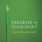 Paradise in Plain Sight: Lessons from a Zen Garden