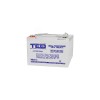 Acumulator AGM VRLA 12V 82A GEL Deep Cycle 259mm x 168mm x h 211mm M6 TED Battery Expert Holland TED003478 (1), Ted Electric