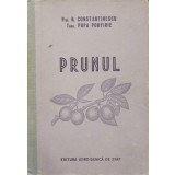 PRUNUL-N. CONSTANTINESCU, POPA PORFIRIE-216632
